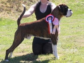 Horseboxers Scott 120616