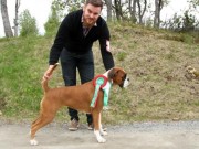 Bodø 12.06.2016 - Meløy Hundeklubb - BIM, Norsk Utstillingschampion
