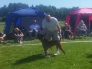 Ås 05.06.2016 - Norsk Boxerklubb Årsvinnerutstilling - CK, 1.UKK