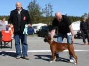Bodø 11.06.2016 - Norsk Boxerklubb avd. Nordland - BIM