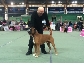 Leopold av Boxerhuset 040616