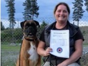 Eidsvoll 16.06.2016 - Eidsvoll Hundeklubb - Bronsemerkeprøve