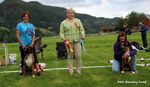 BIR BIM Trondheim 020716
