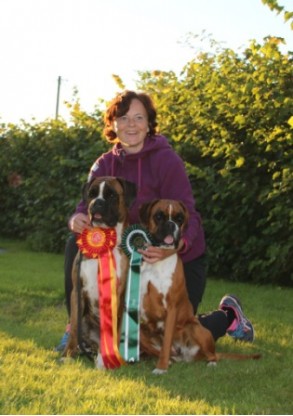 Birkeboxer Luci 070816
