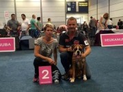Leipzig Tyskland 20.08.2016 - International Leipzig - Tysk Kennel Klubb -  Res. Anw. Dt. Jug. Ch. VDH