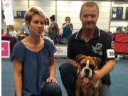 Leipzig Tyskland 21.08.2016 - German Winner - Tysk Kennel Klubb - Res. Anw. DT. Jug. Ch. VDH
