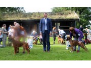Horten 20.08.2016 - Norsk Boxerklubb Vestfold - BIR og BIM
