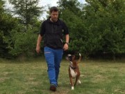 Drøbak 03.09.2016 - Drøbak Hundeklubb - Rallylydighet klasse 2
