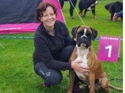 Orre 10.09.2016 - Norsk Kennel Klub Rogaland - CACIB, BIR, Norsk Utstillingschampion