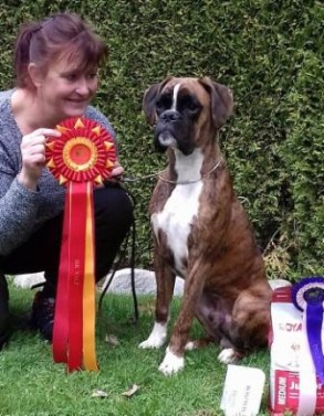 Birkeboxer Primo 161016