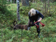 Trøgstad 25.09.2016 - Norsk Boxerklubb avd. Oslo og Akershus - Mentalbeskrivelse - MH,