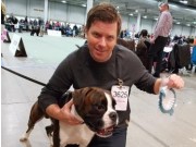 Lillestrøm 20.11.2016 - Dogs4All/Norsk Vinnerutstilling 2016 - NJV-16
