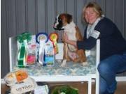 Rakkestad 27.11.2016 - Rakkestad hundeklubb - 4.BIS Valp