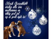 God Jul 2016