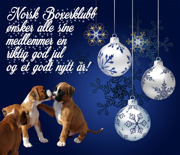 God Jul 2016