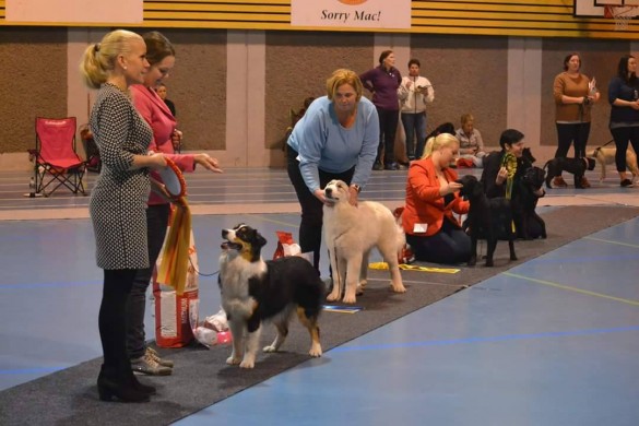 Valpeshow 120217