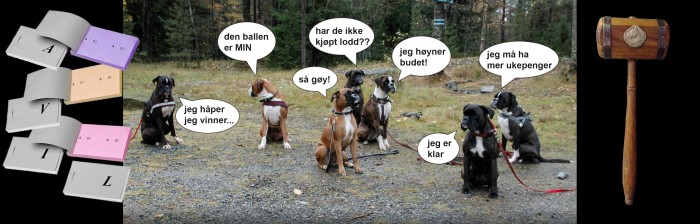 lotteri gruppeface