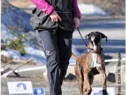 Lillehammer 30.04.2017 - Lillehammer Brukshundklub - Rallylydighet klasse 1