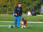Finstadbru Stadion, Oslo 06.05.2017 - Stovner Hundeklubb - Rallylydighet klasse 3