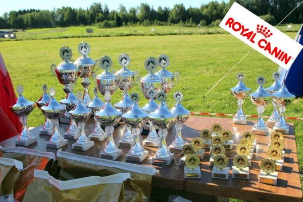 Arsvinner 2017
