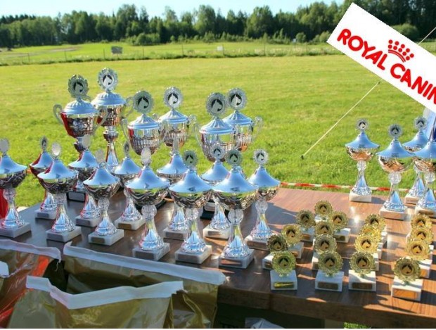 Arsvinner 2017