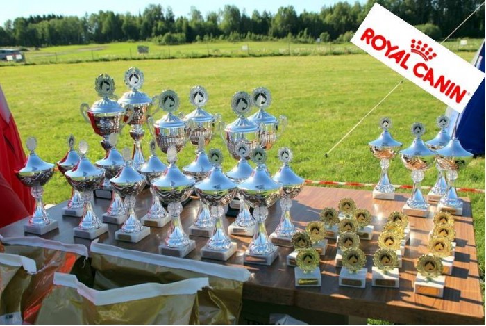Arsvinner 2017