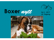 Har du ikke fått Boxernytt? Har du kanskje glemt å betale medlemskapet ditt?