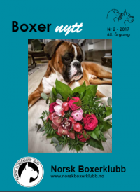 Boxernytt 2 2017