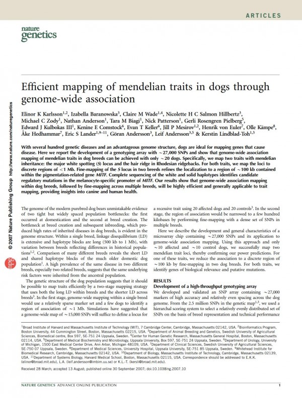 Efficient mapping of mendelian traits in dogs thro