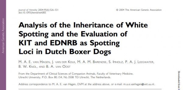 Analysis of the Inheritance of White Spotting and
