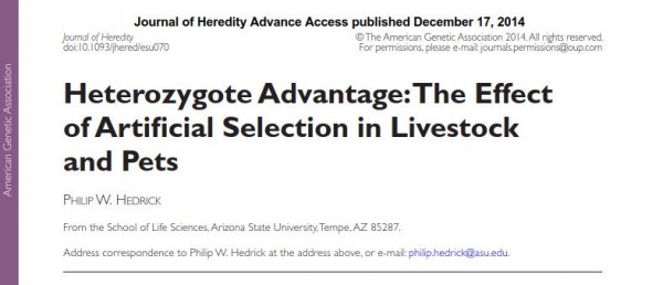 Heterozygote Advantage - The Effect of Artificial