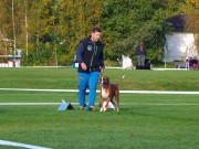 Moss 25.05.2017 - Moss og Omegn Hundeklubb - Rallylydighet klasse 3