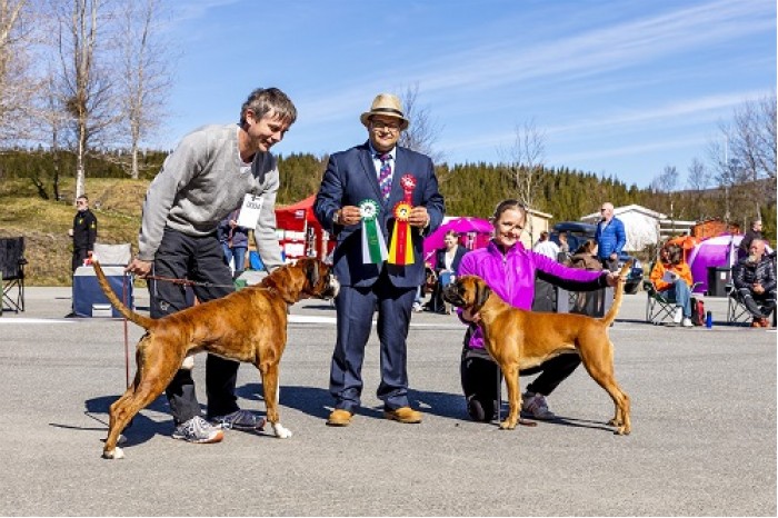 BirBimBodø2017