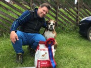 Lom 04.06.2017 - Jetta Hundeklubb - Rallylydighet klasse 1