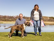 Bodø 03.06.2017 - Salten Brukshundklubb - CERT 2BHK