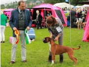 Ekeberg, Oslo 10.06.2017 - Norsk Kennel Klub Crufts kval. - CACIB, BIM
