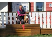 Askim 21.05.2017 - Norsk Rottweilerklubb - RIK Ferdselsprøve BH