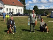 Evenrød, Fredrikstad 29.07.2017 - Norsk Boxerklubb avd. Østfold - BIR og BIM