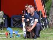 Kristiansand 06.08.2017 - Norsk Boxerklubb Agder - BIM Valp