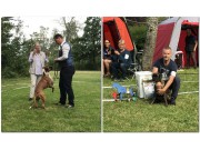 Kristiansand 06.08.2017 - Norsk Boxerklubb Agder - BIR og BIM VALP