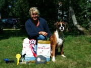 Kristiansand 06.08.2017 - Norsk Boxerklubb Agder - CERT 4.BHK