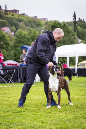 Njord av Boxerhuset 120817