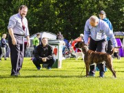 Mosjøen 13.08.2017 - Rana Trekk- og Brukshundklubb - CK 2.BHK 