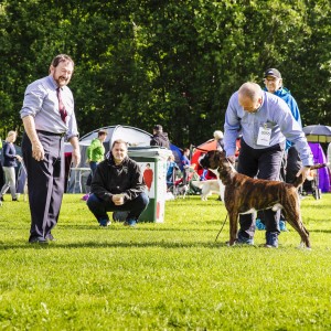 Njord av Boxerhuset 130817