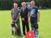 Islev/Hvidovre, Danmark 27.08.2017 - Boxer-Klubben Danmark Islev/Hvidovre Dansk Årsvinnerutstilling - 2.BHK