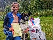 Drøbak 02.09.2017 - Drøbak hundeklubb - Rallylydighet klasse 1
