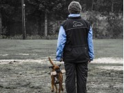 Trondheim 18.06.2017 - Norsk Rottweilerklubb avd. Trøndelag - Kåringsprøve