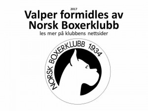 Valper formidles