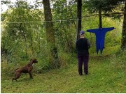 Mandal  16.09.2017 - Mandal Hundeklubb - Mentalbeskrivelse MH