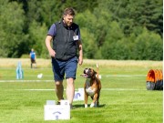 Drøbak 08.10.2017 - Norsk Hovawart Klubb - Rallylydighet klasse Elite